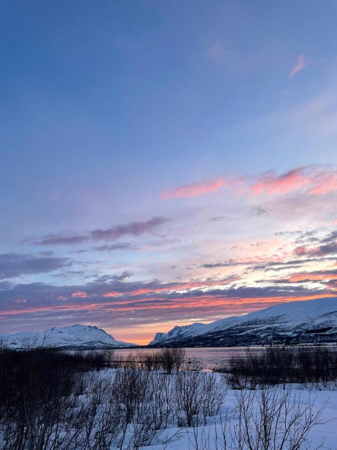 Modern Apartment Nearby City Centrum Tromso Exterior photo